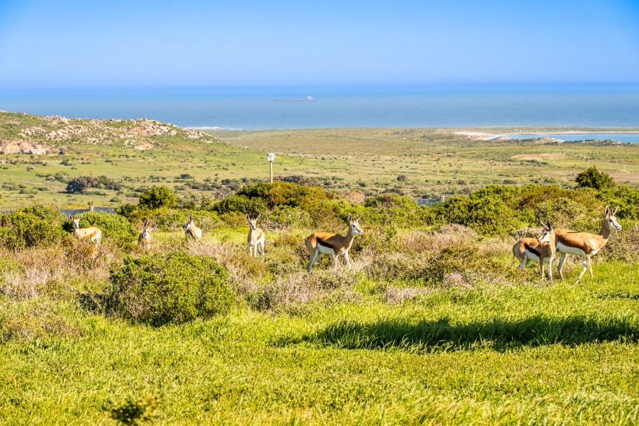 Commercial Property for Sale in Hoogland Western Cape